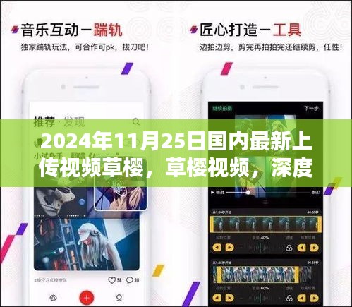 草櫻視頻深度評測與介紹，最新上傳內(nèi)容預(yù)覽（2024年11月25日）