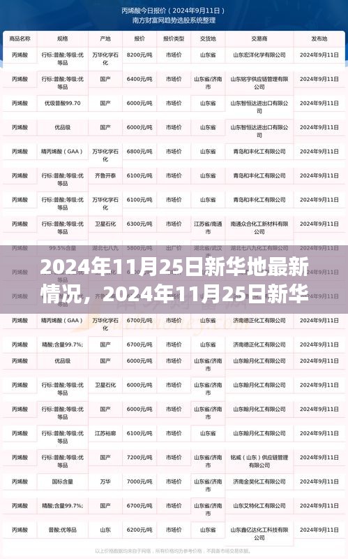 2024年11月25日新華地最新發(fā)展概覽，全面揭示最新情況
