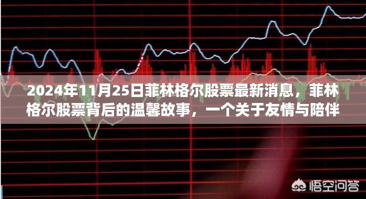 菲林格爾股票最新消息揭秘，股市背后的友情與陪伴故事（2024年11月25日）