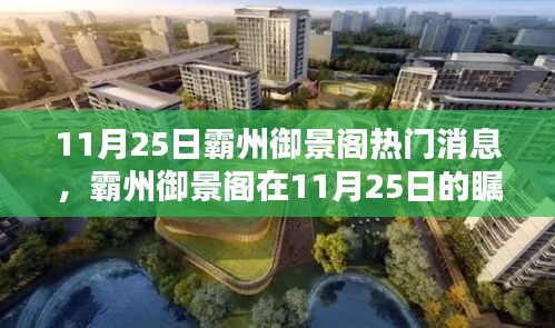 霸州御景閣11月25日焦點熱議，熱門消息詳解