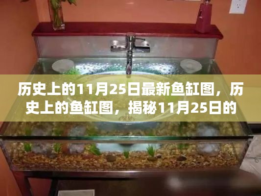 揭秘歷史上的魚缸圖，探尋11月25日的神秘面紗與深遠(yuǎn)影響