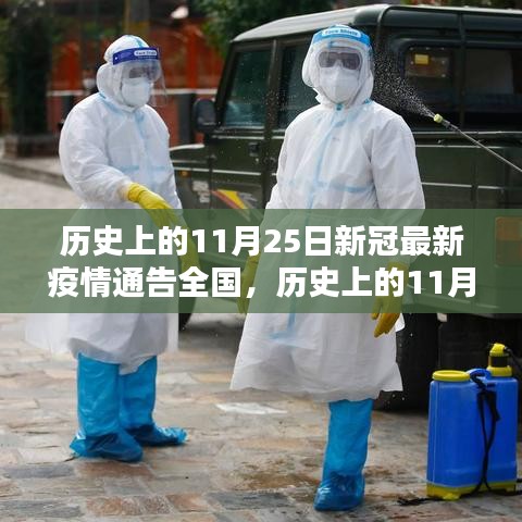 歷史上的11月25日，新冠最新疫情通告全國(guó)步驟詳解與指南