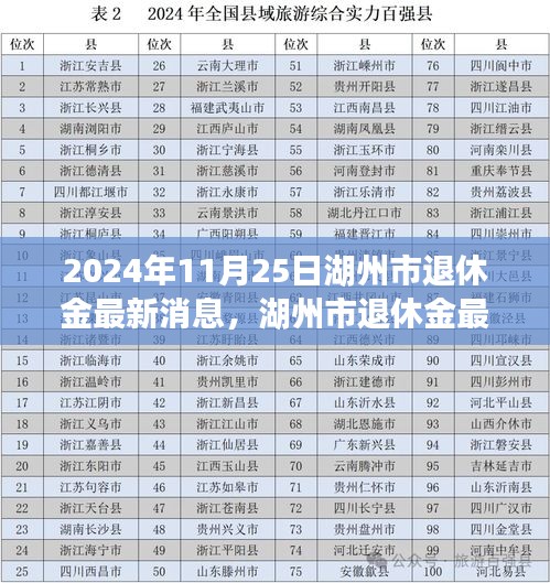 湖州市退休金最新消息解讀與獲取指南（2024年11月版）