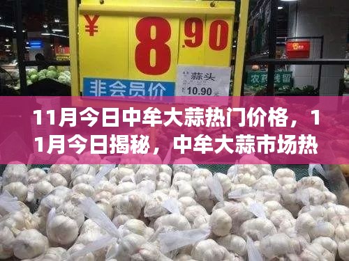 揭秘中牟大蒜市場，熱門價(jià)格與行情分析（11月最新）