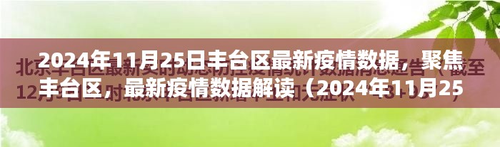 豐臺區(qū)最新疫情數(shù)據(jù)解讀，聚焦疫情動態(tài)（2024年11月25日）