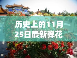 探尋歷史上的彈花日，探尋11月25日的獨特印記與影響