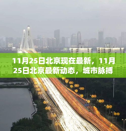 北京最新動(dòng)態(tài)，城市脈搏下的新篇章（11月25日更新）