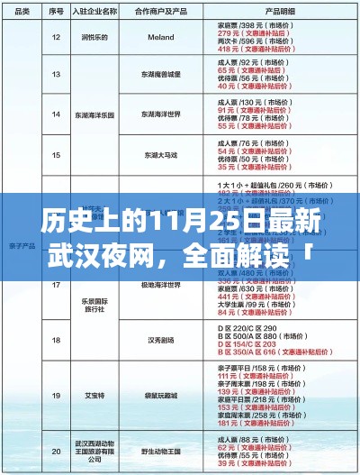 歷史上的11月25日最新武漢夜網(wǎng)深度解析，特性、體驗(yàn)、競品對比及用戶群體全面剖析