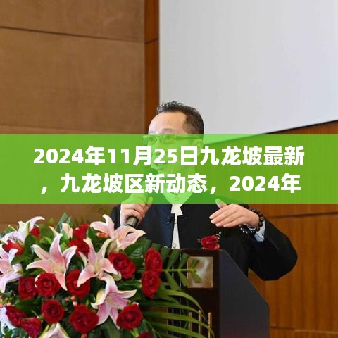 2024年11月25日九龍坡區(qū)新動(dòng)態(tài)深度解讀