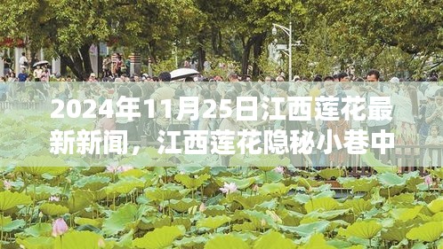 江西蓮花隱秘小巷的美食探秘，味覺(jué)奇遇，最新探秘報(bào)道（2024年11月25日）