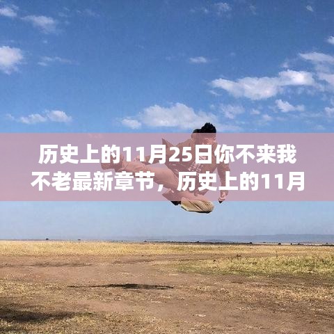 歷史上的11月25日最新章節(jié)獲取與閱讀指南，你不來(lái)我不老