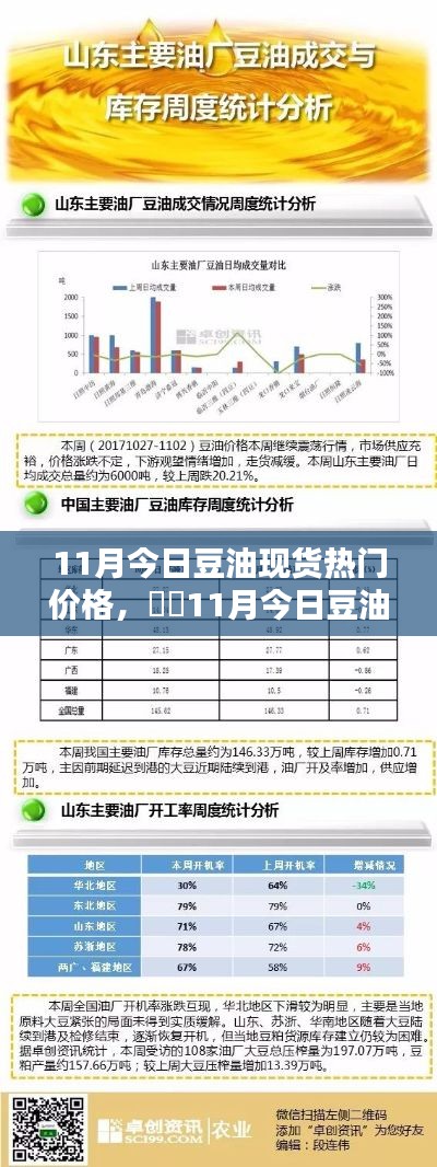 11月豆油現(xiàn)貨熱門價格詳解，全面評測與介紹