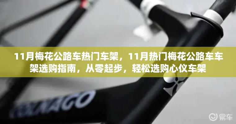11月熱門梅花公路車車架選購指南，從零起步，輕松挑選心儀車架