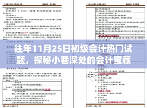 歷年11月25日初級(jí)會(huì)計(jì)熱門試題探秘，小巷深處的寶藏之旅