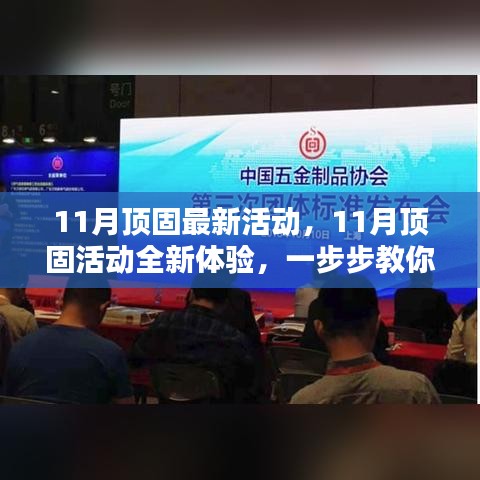 11月頂固全新活動(dòng)指南，輕松參與，盡享福利