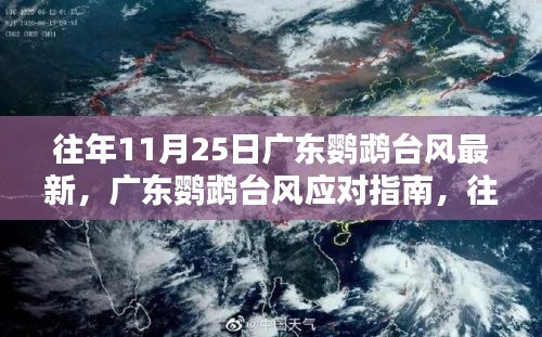 廣東鸚鵡臺風(fēng)最新動態(tài)與應(yīng)對策略指南，往年11月25日臺風(fēng)信息及應(yīng)對方法總結(jié)