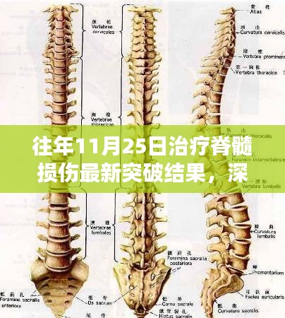 神奇小店揭秘，脊髓損傷治療最新突破成果，歷年進(jìn)展匯總報(bào)道