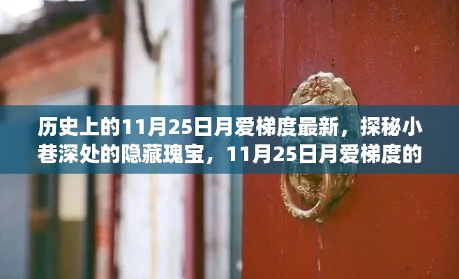 探秘隱藏瑰寶，11月25日月愛梯度的獨(dú)特風(fēng)味之旅。