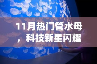 揭秘，科技新星閃耀下的管水母智能生活新寵的神秘面紗