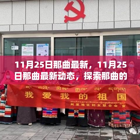 11月25日那曲最新動(dòng)態(tài)，探索新變化與發(fā)展的前沿