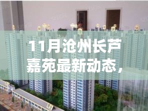 揭秘11月滄州長蘆嘉苑最新動態(tài)，探索指南與關鍵信息全掌握