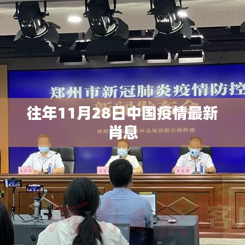 中國疫情最新消息，往年11月28日更新數(shù)據(jù)概覽