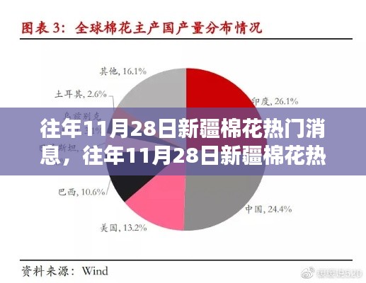 往年11月28日新疆棉花焦點解析，特性、體驗、競品對比及用戶群體深度探討