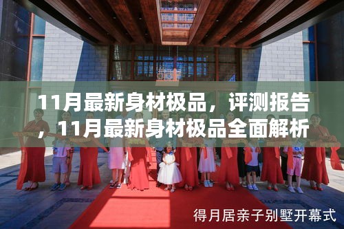 11月最新身材極品全面解析與評(píng)測(cè)報(bào)告