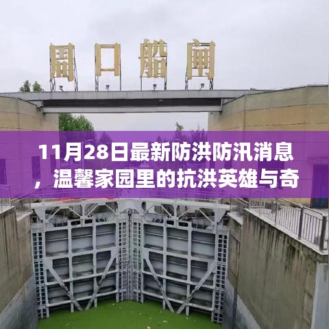 溫馨家園抗洪防汛日，英雄與友情的奇妙故事