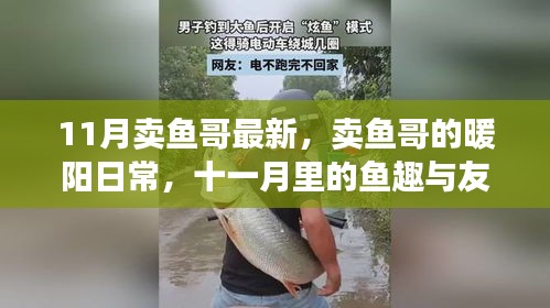 賣魚哥的日常，暖陽(yáng)下的魚趣與友情時(shí)光