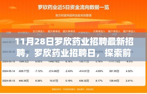 羅欣藥業(yè)最新招聘日，探索前沿科技，共啟醫(yī)藥新紀(jì)元