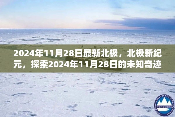 北極新紀元揭秘，探索未知奇跡的旅程——2024年11月28日最新北極探索紀實