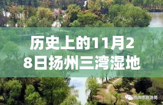 歷史上的11月28日揚(yáng)州三灣濕地公園，演變與啟示