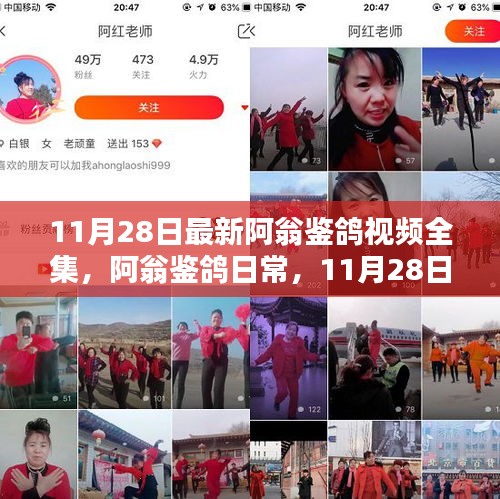 阿翁鑒鴿視頻全集，11月28日的溫馨友情時(shí)光