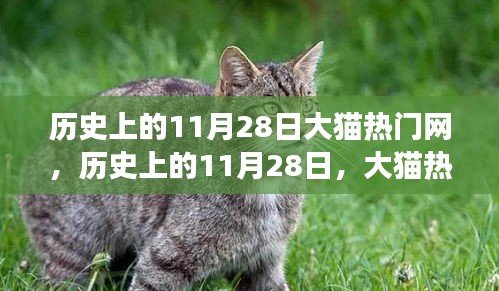 片口張舌 第5頁(yè)