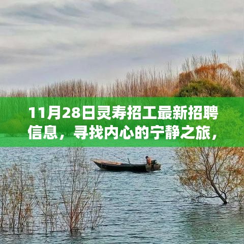 11月28日靈壽最新招聘信息，探尋自然美景中的職業(yè)寧靜之旅