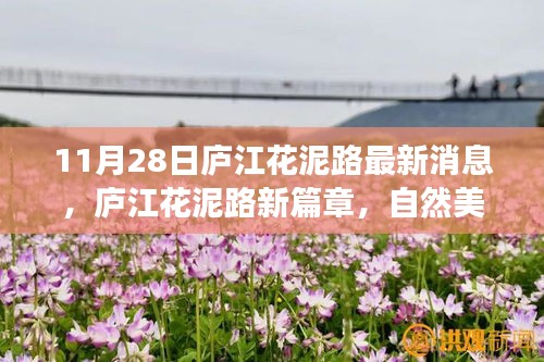 星星打烊 第5頁