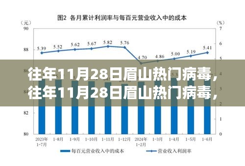 眉山熱門病毒揭秘，全面評測與深度解析（往年11月28日熱點(diǎn)）