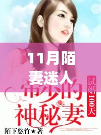 11月陌妻新篇章，學(xué)習(xí)成長，自信與成就之光的擁抱