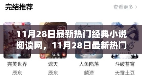 11月28日最新熱門經(jīng)典小說閱讀網(wǎng)站深度解析，讀者視角的優(yōu)缺點(diǎn)探討