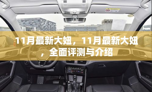 11月最新大妞全面評(píng)測(cè)與介紹