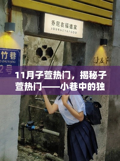 揭秘子萱熱門，小巷中的獨(dú)特風(fēng)味秘境成為熱門焦點(diǎn)