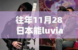揭秘，往年11月28日Luvian的最新動態(tài)與探索進(jìn)展