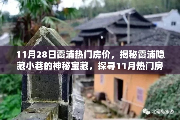 揭秘霞浦隱藏小巷的神秘寶藏，11月熱門房?jī)r(jià)下的特色小店探索