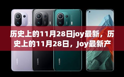 歷史上的11月28日J(rèn)oy產(chǎn)品全面評(píng)測(cè)與最新介紹