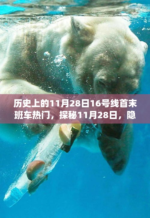 探秘11月28日，揭秘隱匿小巷的16號(hào)線特色小店與首末班車時(shí)光寶藏