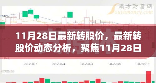 聚焦11月28日股市動態(tài)，最新轉(zhuǎn)股價分析與投資者觀點(diǎn)解析