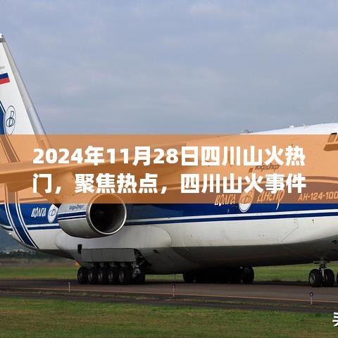 四川山火事件揭秘，影響與熱點(diǎn)聚焦（2024年11月28日版）