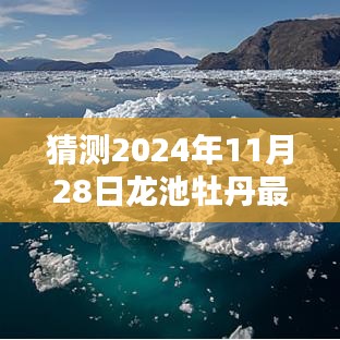 探秘牡丹秘境，預(yù)測(cè)2024年龍池牡丹最新消息大猜想揭秘！