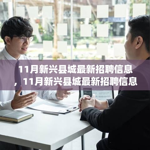 11月新興縣城最新招聘信息全面解析與介紹